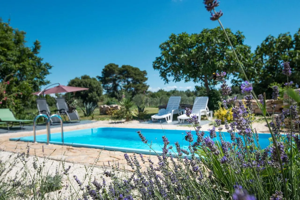 Complex Of Two Villas Palera Xxl With Private Pools Liznjan
