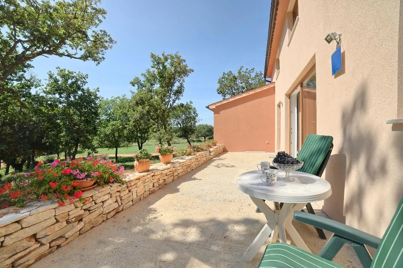 Complex Of Two Villas Palera Xxl With Private Pools Liznjan 0*,  Croatia